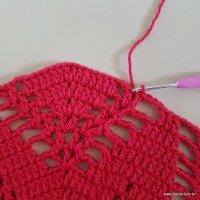 Tapete vermelho malagueta (243)