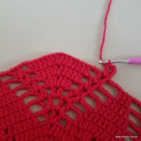 Tapete vermelho malagueta (245)