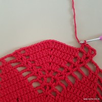 Tapete vermelho malagueta (253)