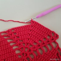 Tapete vermelho malagueta (254)