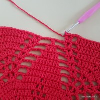 Tapete vermelho malagueta (257)