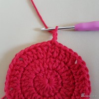 Tapete vermelho malagueta (26)