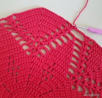 Tapete vermelho malagueta (262)