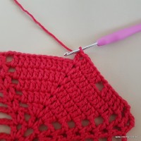 Tapete vermelho malagueta (269)