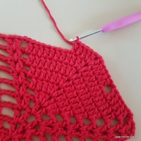 Tapete vermelho malagueta (270)