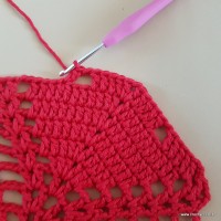 Tapete vermelho malagueta (271)