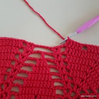 Tapete vermelho malagueta (273)