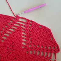 Tapete vermelho malagueta (277)