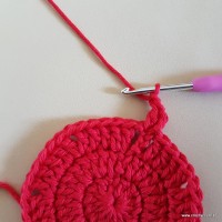 Tapete vermelho malagueta (28)