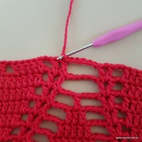 Tapete vermelho malagueta (281)