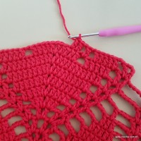 Tapete vermelho malagueta (286)