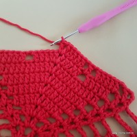 Tapete vermelho malagueta (287)