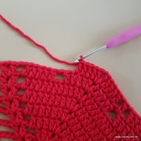 Tapete vermelho malagueta (288)