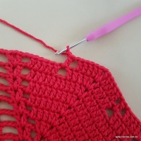 Tapete vermelho malagueta (289)