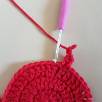 Tapete vermelho malagueta (29)