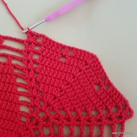 Tapete vermelho malagueta (293)