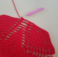 Tapete vermelho malagueta (296)