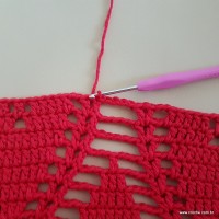 Tapete vermelho malagueta (298)