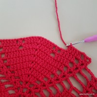 Tapete vermelho malagueta (304)