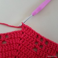 Tapete vermelho malagueta (308)