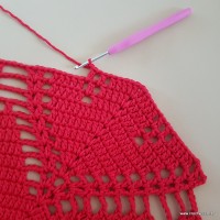 Tapete vermelho malagueta (312)