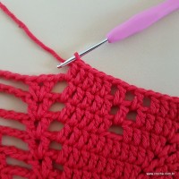 Tapete vermelho malagueta (313)