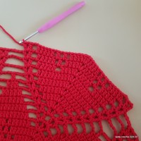 Tapete vermelho malagueta (315)