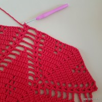 Tapete vermelho malagueta (317)