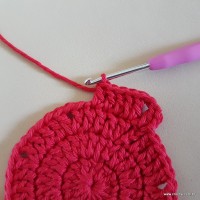 Tapete vermelho malagueta (32)