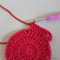 Tapete vermelho malagueta (33)