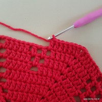 Tapete vermelho malagueta (331)