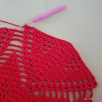 Tapete vermelho malagueta (339)