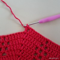 Tapete vermelho malagueta (351)