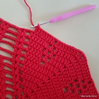 Tapete vermelho malagueta (357)