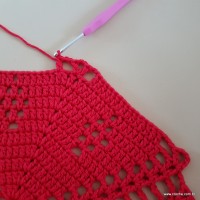Tapete vermelho malagueta (377)