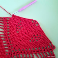 Tapete vermelho malagueta (379)