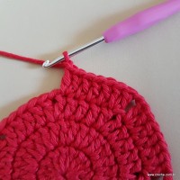 Tapete vermelho malagueta (39)
