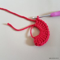 Tapete vermelho malagueta (4)