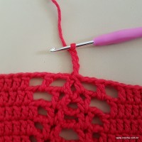 Tapete vermelho malagueta (413)