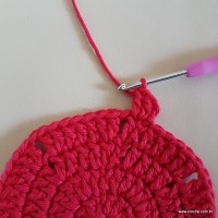 Tapete vermelho malagueta (42)