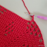 Tapete vermelho malagueta (421)