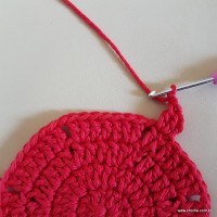 Tapete vermelho malagueta (43)