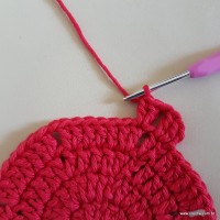 Tapete vermelho malagueta (44)