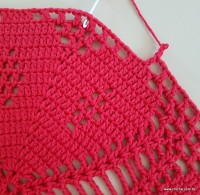 Tapete vermelho malagueta (442)