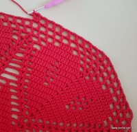 Tapete vermelho malagueta (448)