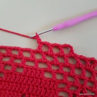 Tapete vermelho malagueta (455)