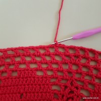 Tapete vermelho malagueta (456)
