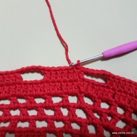 Tapete vermelho malagueta (472)