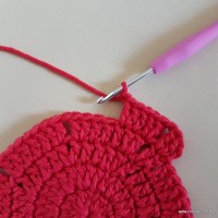 Tapete vermelho malagueta (48)