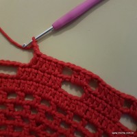 Tapete vermelho malagueta (483)